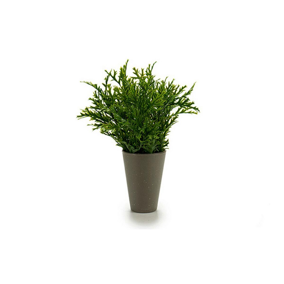 Urtepotte Grøn Plastik 13 x 25 x 13 cm Urtepotte Grøn Plastik 13 x 25 x 13 cm