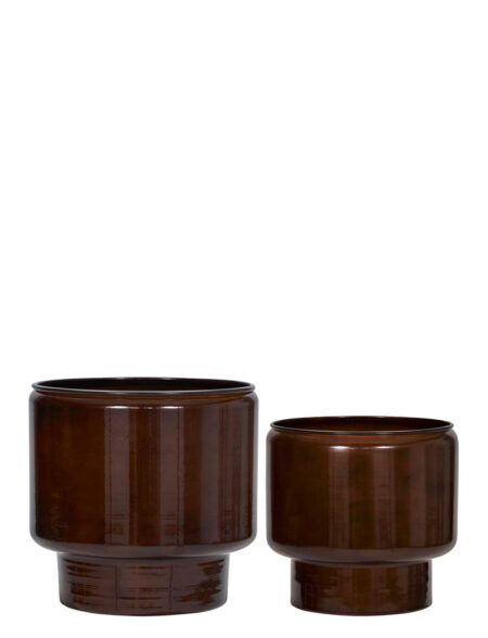 Urtepotte, Hdpile, Brun House Doctor Brown