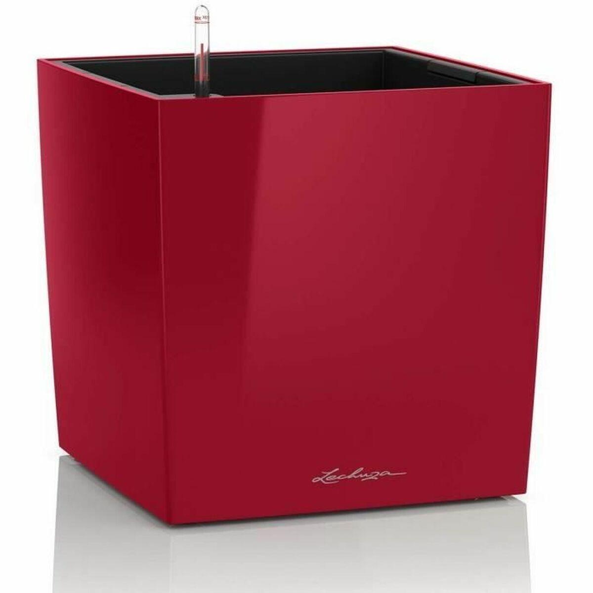 Urtepotte Lechuza 40 x 40 x 40 cm Sort Rød polypropylen Plastik Urtepotte Lechuza 40 x 40 x 40 cm Sort Rød polypropylen Plastik