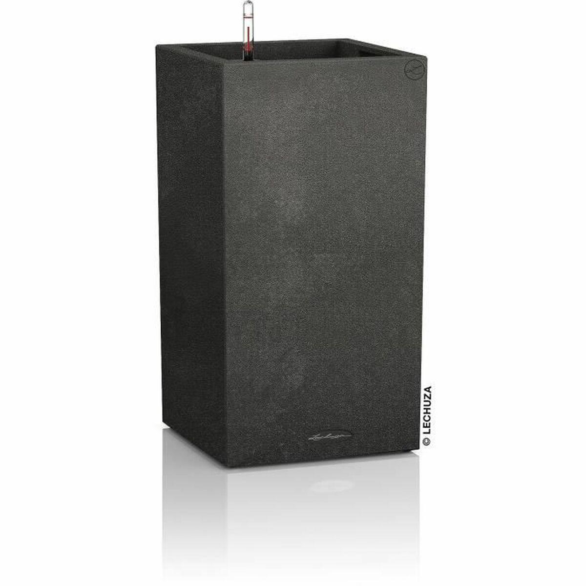 Urtepotte Lechuza 40 x 40 x 76 cm polypropylen Plastik Rektangulær Urtepotte Lechuza 40 x 40 x 76 cm polypropylen Plastik Rektangulær
