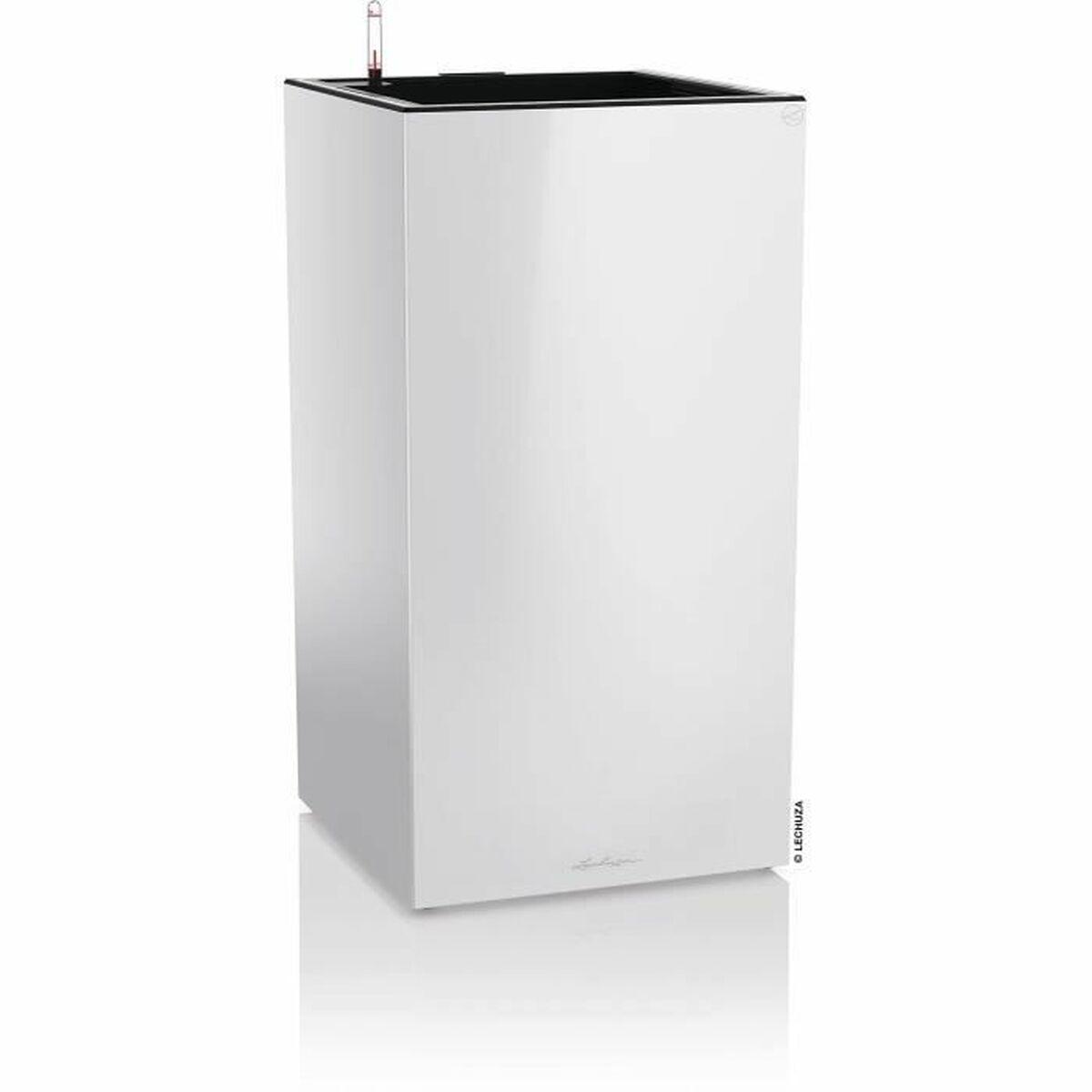 Urtepotte Lechuza 76 x 40 x 10 cm Hvid (1 enheder) Urtepotte Lechuza 76 x 40 x 10 cm Hvid (1 enheder)