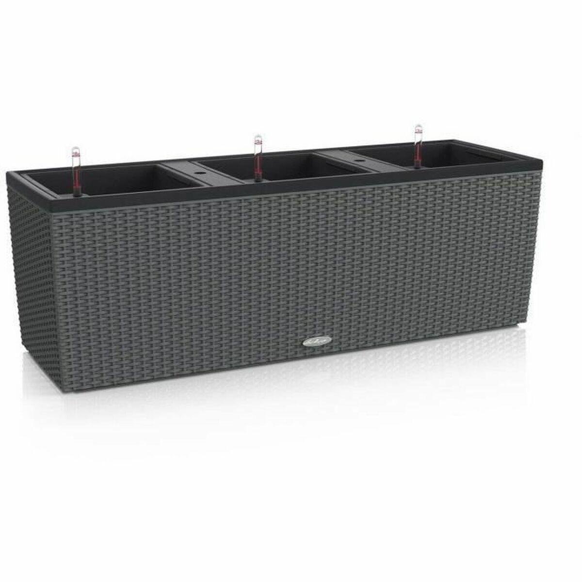 Urtepotte Lechuza rektangulær 100 × 32 × 34 cm plastik Urtepotte Lechuza rektangulær 100 × 32 × 34 cm plastik