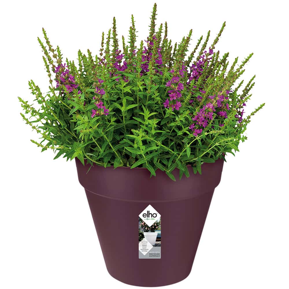 Urtepotte Mulberry Mat 25x22cm 5,5L Urtepotte Mulberry Mat 25x22cm 5,5L