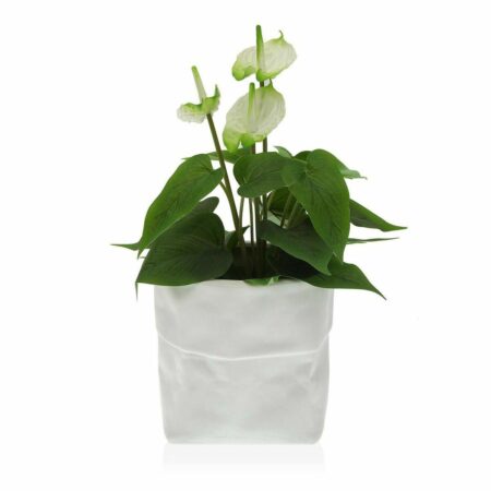 Urtepotte Plastik Firkantet (2 Dele) (OUTLET B)