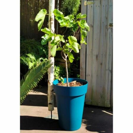 Urtepotte Riss 53 cm Blå Plastik