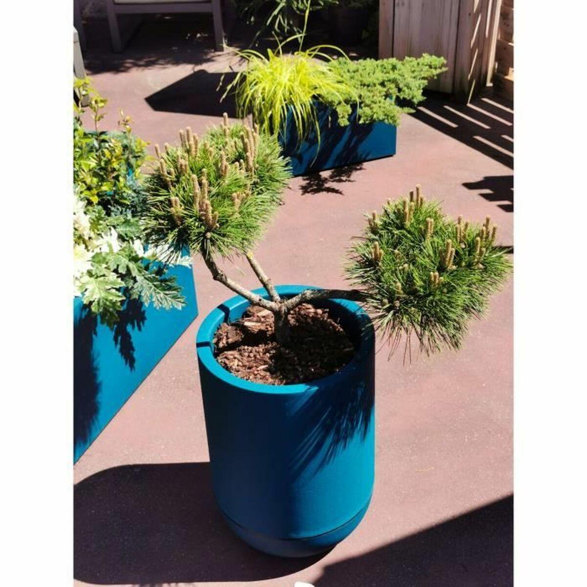Urtepotte Riviera Blå Ø 50 cm Urtepotte Riviera Blå Ø 50 cm