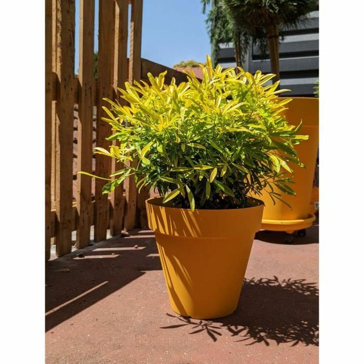 Urtepotte Riviera Gul Ø 60 cm Urtepotte Riviera Gul Ø 60 cm
