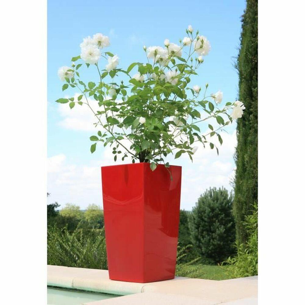 Urtepotte Riviera Rød Plastik Firkantet Cirkulær Moderne 29 x 29 x 52 cm 29 x 29 cm Urtepotte Riviera Rød Plastik Firkantet Cirkulær Moderne 29 x 29 x 52 cm 29 x 29 cm