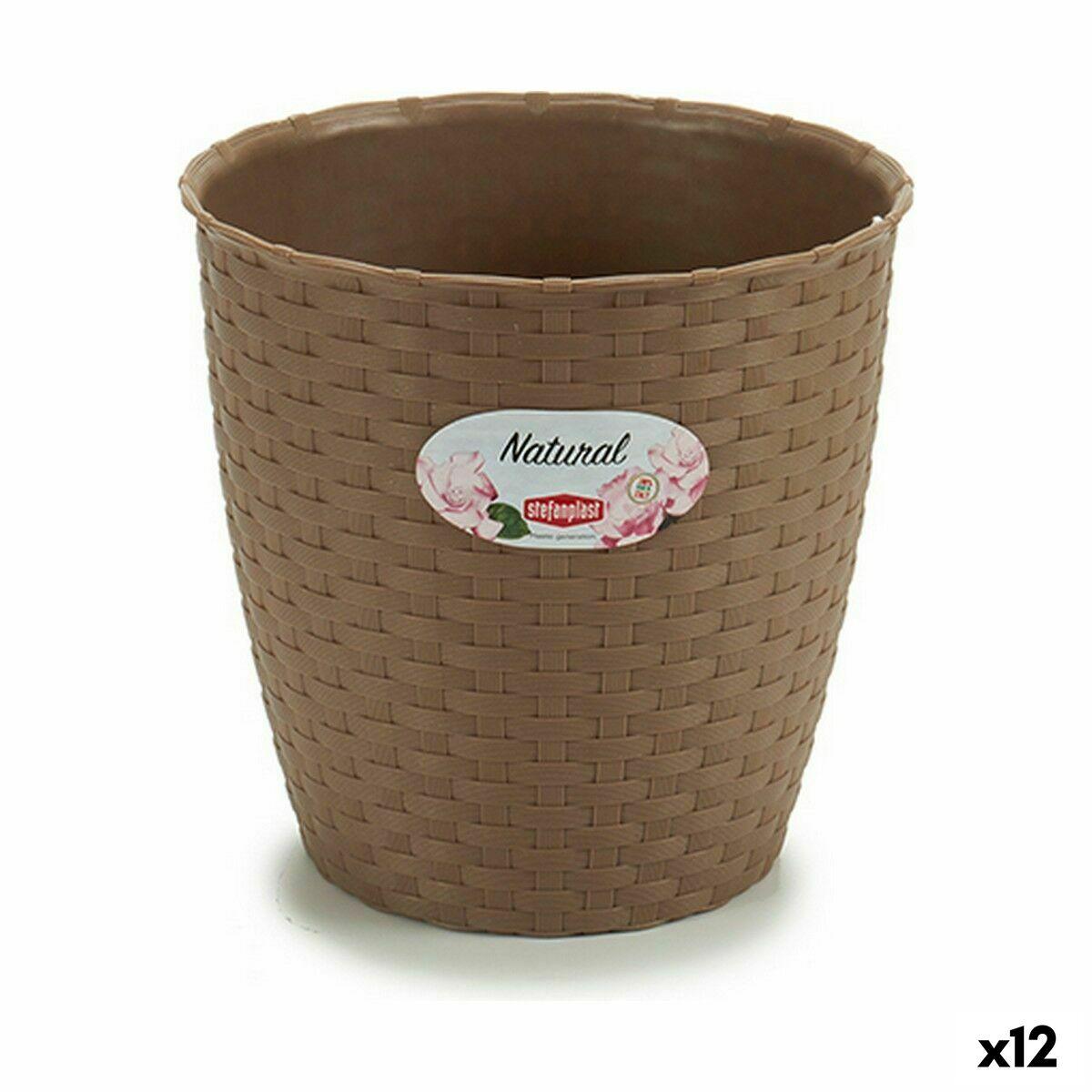 Urtepotte Stefanplast Brun Plastik 19 x 17,5 x 19 cm (12 enheder) Urtepotte Stefanplast Brun Plastik 19 x 17,5 x 19 cm (12 enheder)