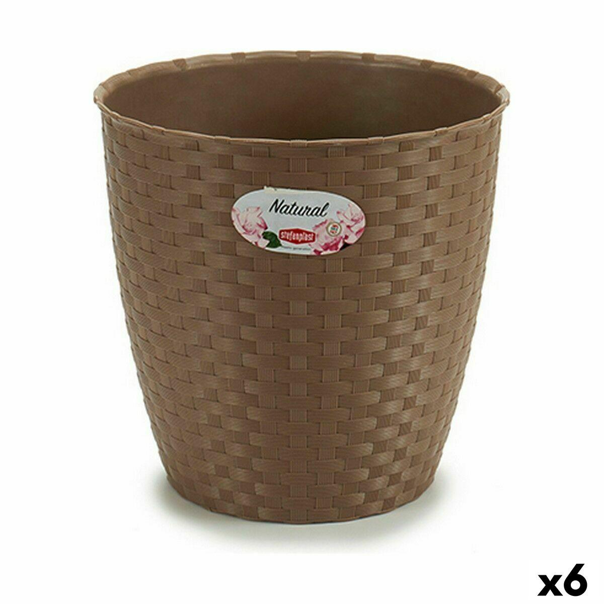 Urtepotte Stefanplast Brun Plastik 24 x 22,5 x 24 cm (6 enheder) Urtepotte Stefanplast Brun Plastik 24 x 22,5 x 24 cm (6 enheder)