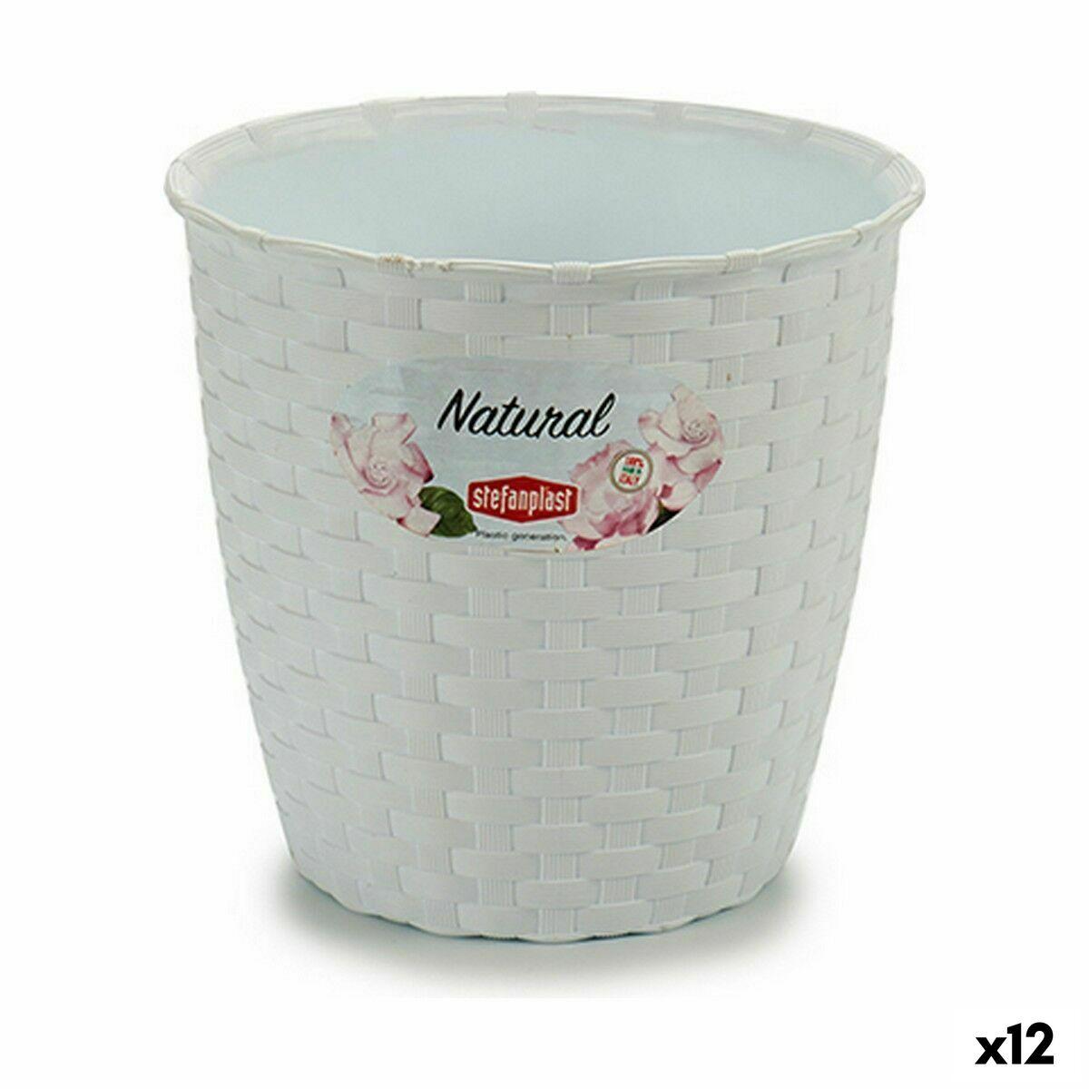 Urtepotte Stefanplast Hvid Plastik 14 x 13 x 14 cm (12 enheder) Urtepotte Stefanplast Hvid Plastik 14 x 13 x 14 cm (12 enheder)