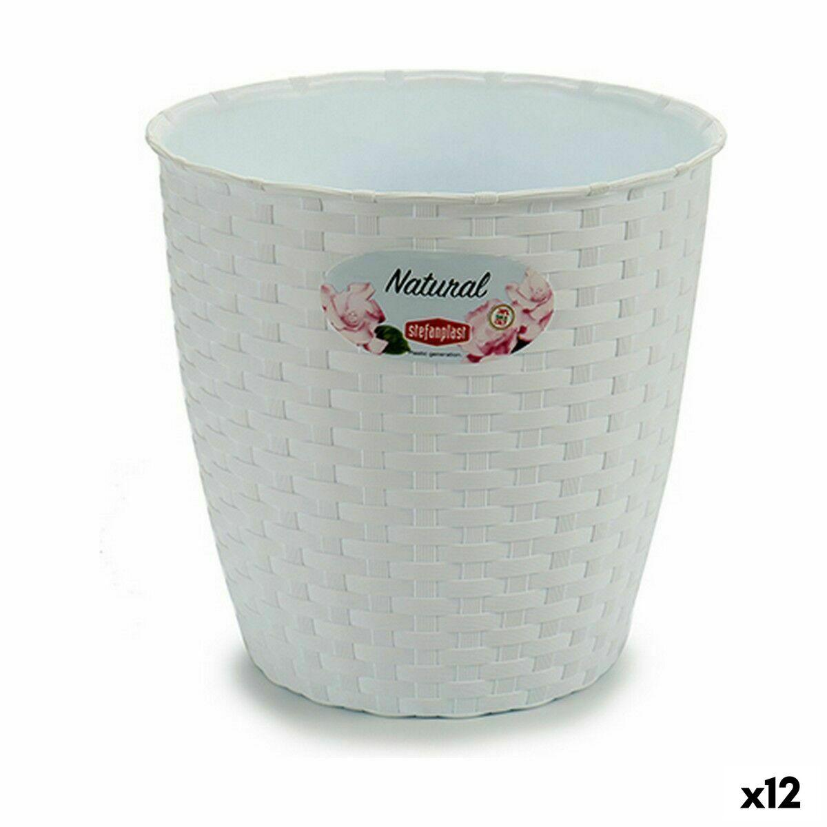 Urtepotte Stefanplast Hvid Plastik 19 x 17,5 x 19 cm (12 enheder) Urtepotte Stefanplast Hvid Plastik 19 x 17,5 x 19 cm (12 enheder)