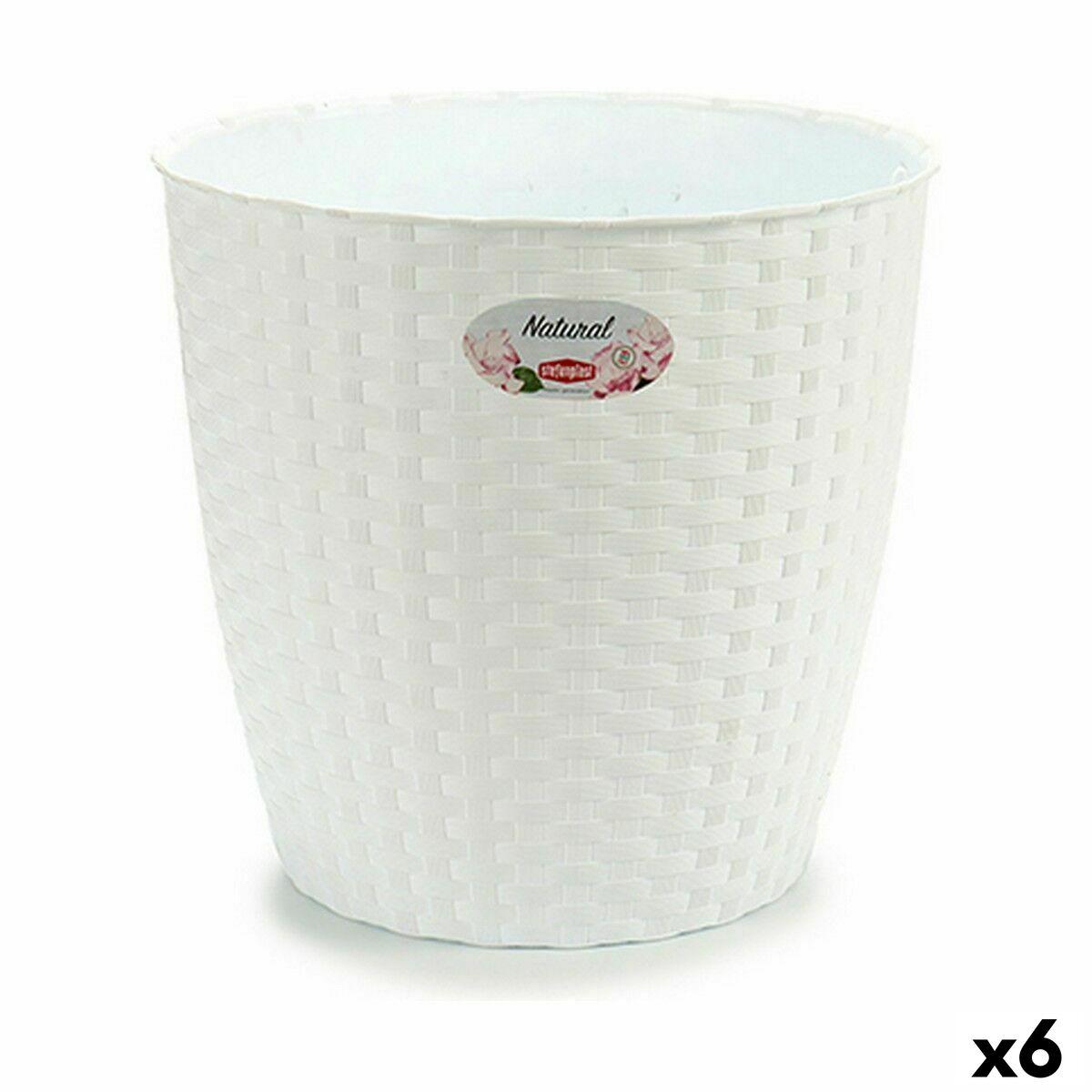 Urtepotte Stefanplast Hvid Plastik 29 x 27 x 29 cm (6 enheder) Urtepotte Stefanplast Hvid Plastik 29 x 27 x 29 cm (6 enheder)