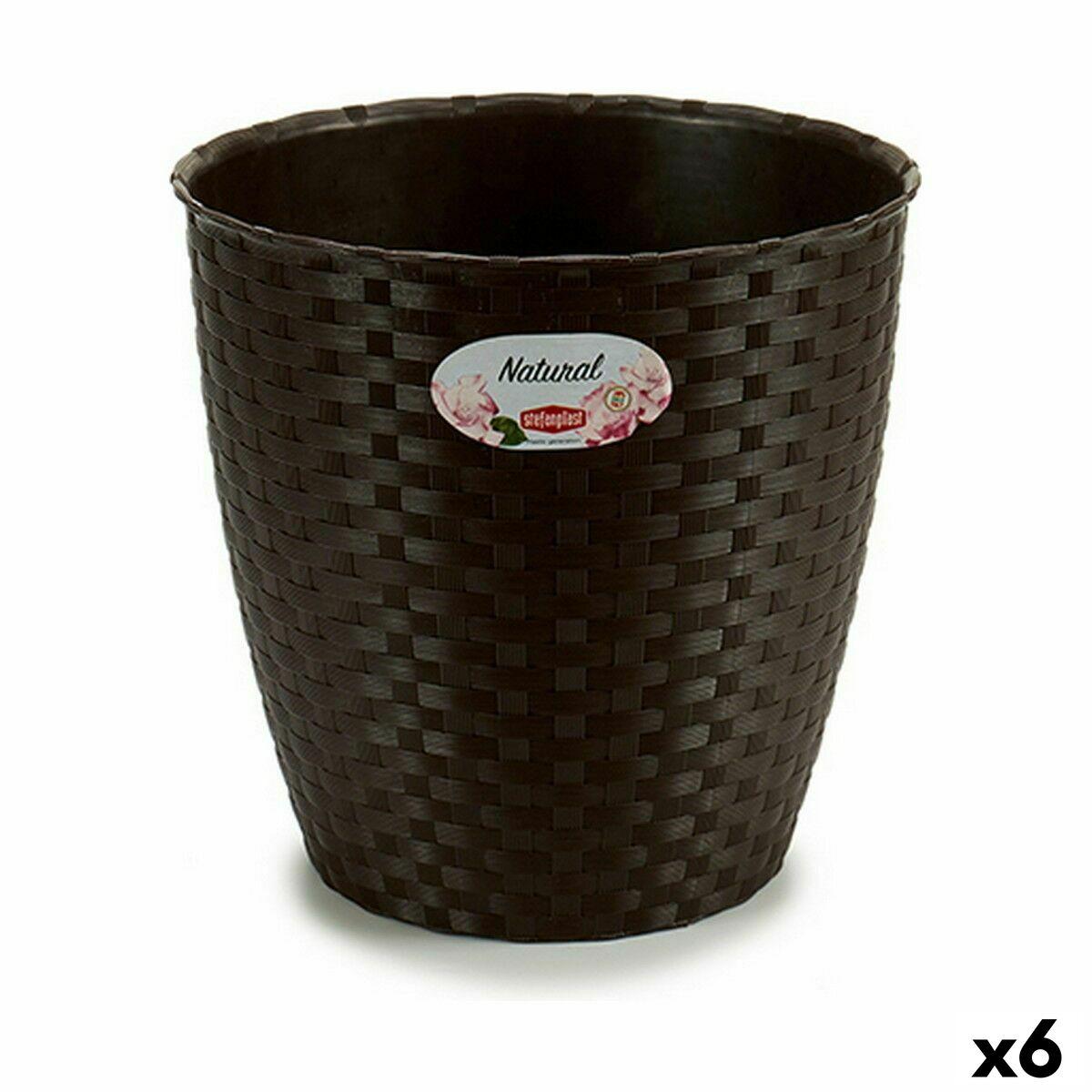 Urtepotte Stefanplast Plastik 24 x 22 x 24 cm (6 enheder) Urtepotte Stefanplast Plastik 24 x 22 x 24 cm (6 enheder)