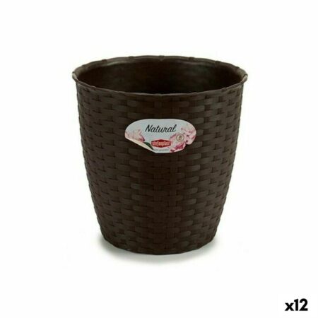 Urtepotte Stefanplast Plastik Chokolade 19 x 17,5 x 19 cm (12 enheder)