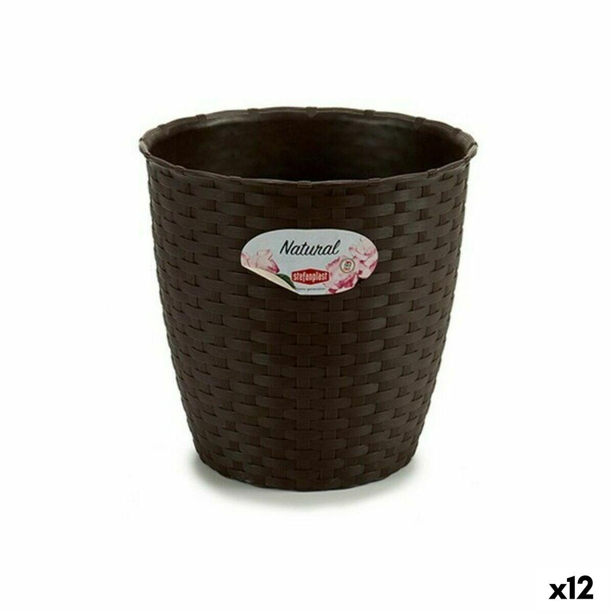 Urtepotte Stefanplast Plastik Chokolade 19 x 17,5 x 19 cm (12 enheder) Urtepotte Stefanplast Plastik Chokolade 19 x 17,5 x 19 cm (12 enheder)