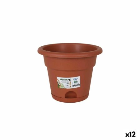 Urtepotte med fad Dem Greentime Brun 20 x 20 x 16 cm (12 enheder)