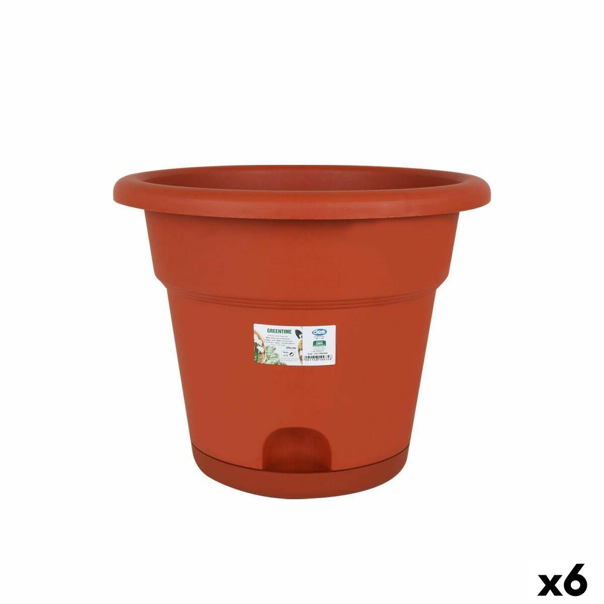 Urtepotte med fad Dem Greentime Brun ø 35 x 28,5 cm (6 enheder) Urtepotte med fad Dem Greentime Brun ø 35 x 28,5 cm (6 enheder)