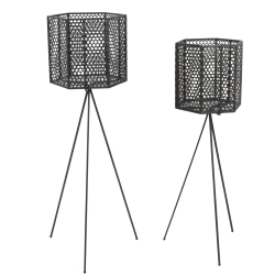 Vare