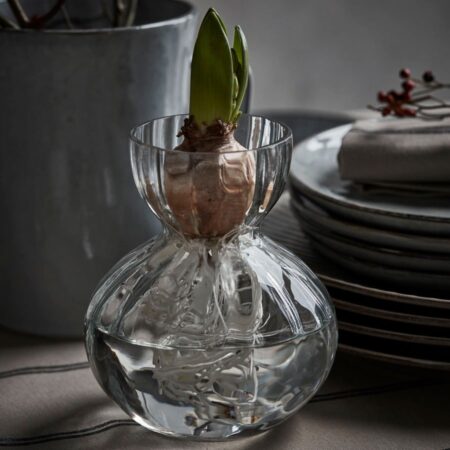 Vase Bud