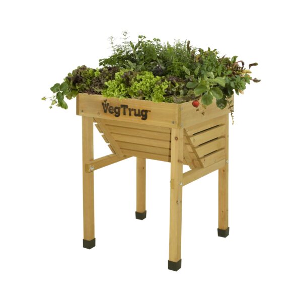 VegTrug Kids Planter Natural