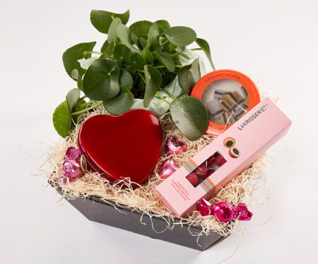 Yndig kurv med plante - Send blomster med Bloomit