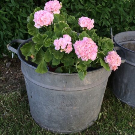 Zink balje rund & høj - Gammel - Lille