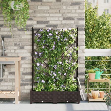 vidaXL Plante med trellis 2 stk Brun 80x40x125.5 cm