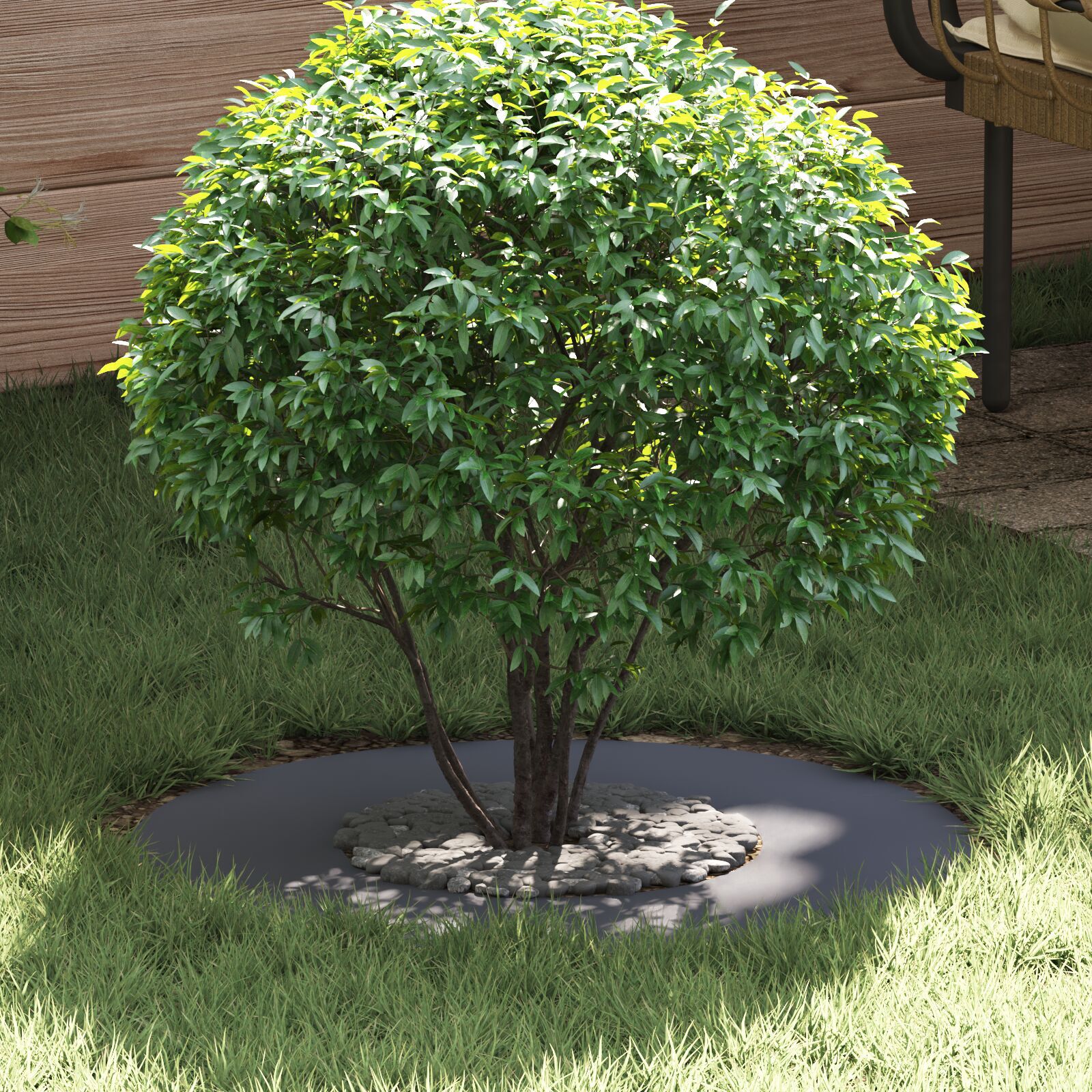 vidaXL Resin plantepotte Antracit Resin Mellem Planter vidaXL Resin plantepotte Antracit Resin Mellem Planter