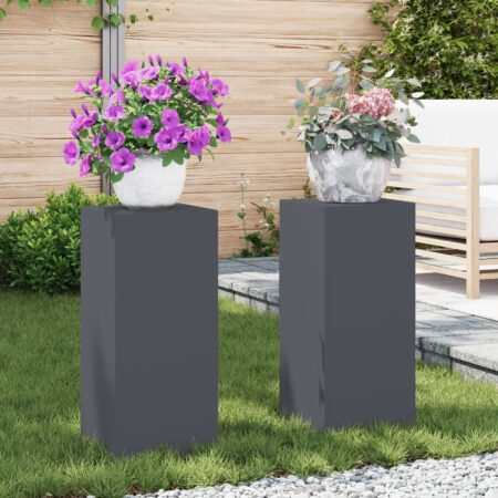 vidaXL Udendørs Plante Stativ Pille 2 stk Antracit 24x24x55 cm Stål