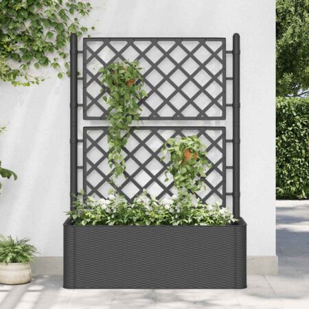 vidaXL højbed med espalier og automatisk vandingssystem antracitgrå