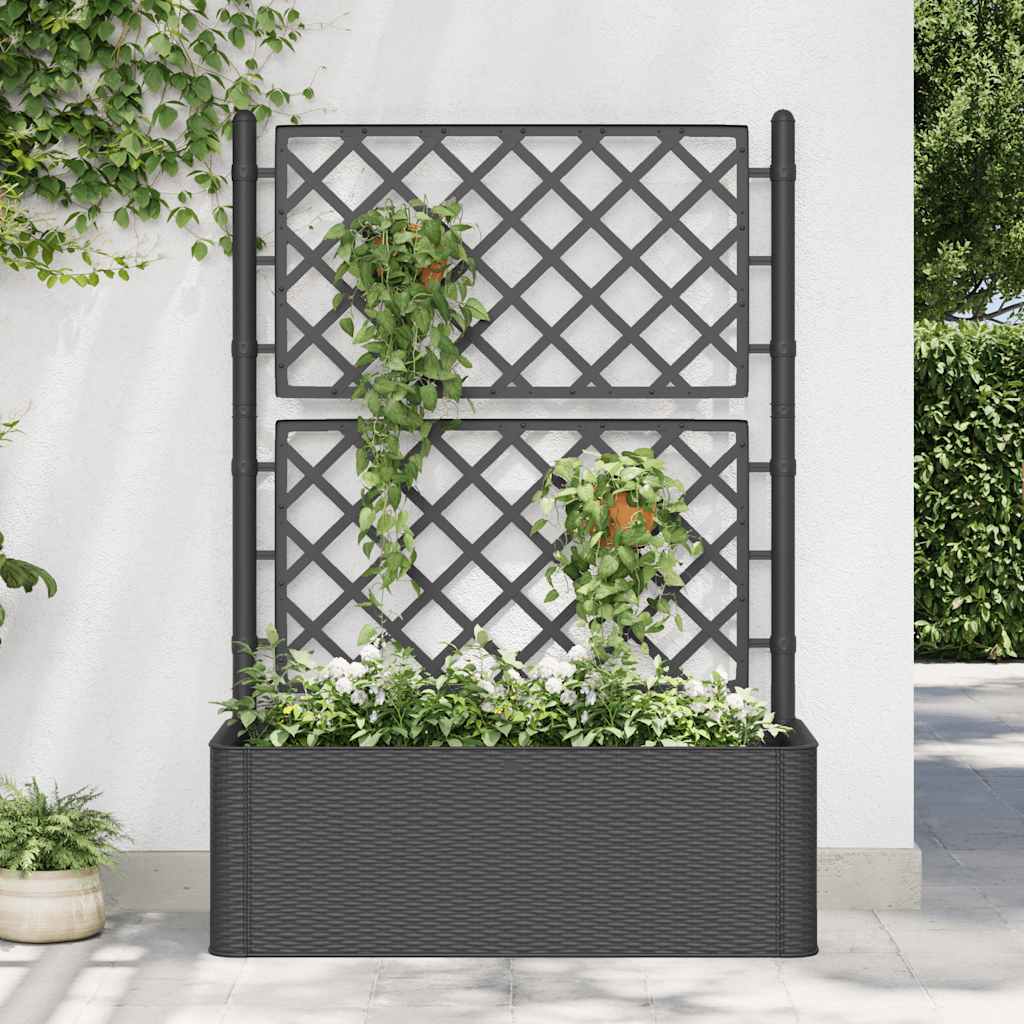 vidaXL højbed med espalier og automatisk vandingssystem antracitgrå vidaXL højbed med espalier og automatisk vandingssystem antracitgrå