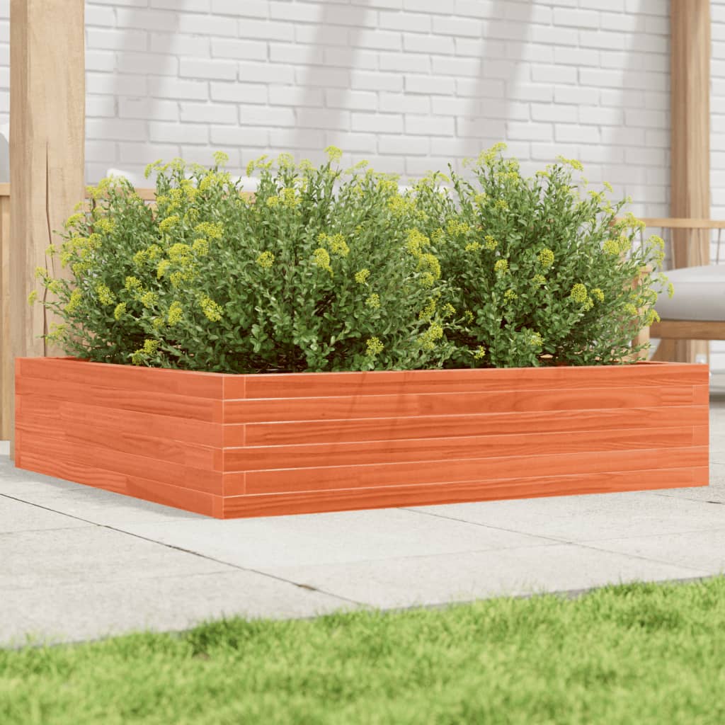 vidaXL plantekasse 100x100x23 cm massivt fyrretræ gyldenbrun vidaXL plantekasse 100x100x23 cm massivt fyrretræ gyldenbrun