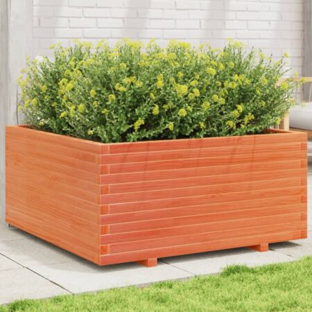 vidaXL plantekasse 100x100x49,5 cm massivt fyrretræ gyldenbrun