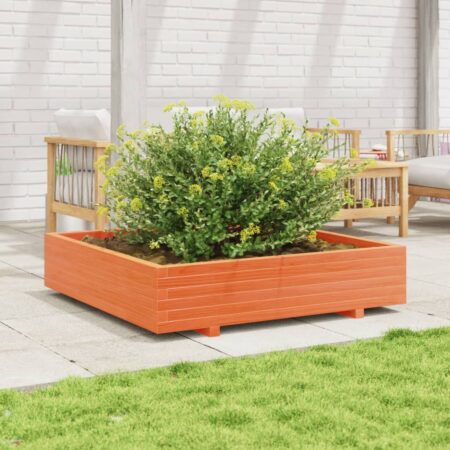 vidaXL plantekasse 110x110x26,5 cm massivt fyrretræ gyldenbrun