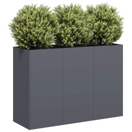 vidaXL plantekasse 120x40x80 cm koldvalset stål antracitgrå