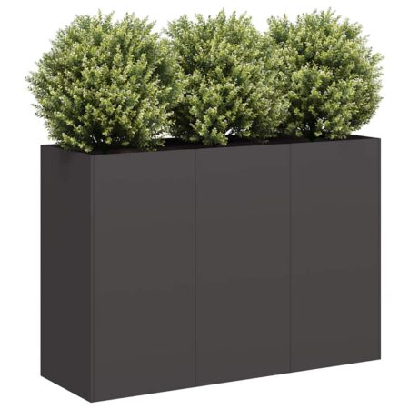 vidaXL plantekasse 120x40x80 cm koldvalset stål sort
