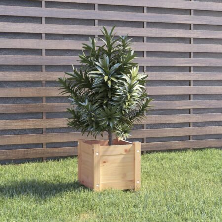 vidaXL plantekasse 31x31x31 cm massivt fyrretræ