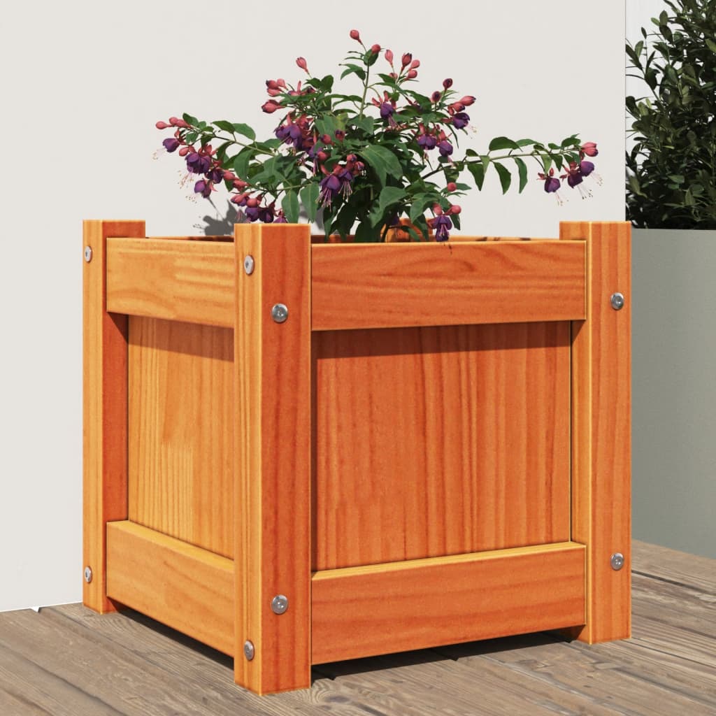 vidaXL plantekasse 31x31x31 cm massivt fyrretræ gyldenbrun vidaXL plantekasse 31x31x31 cm massivt fyrretræ gyldenbrun