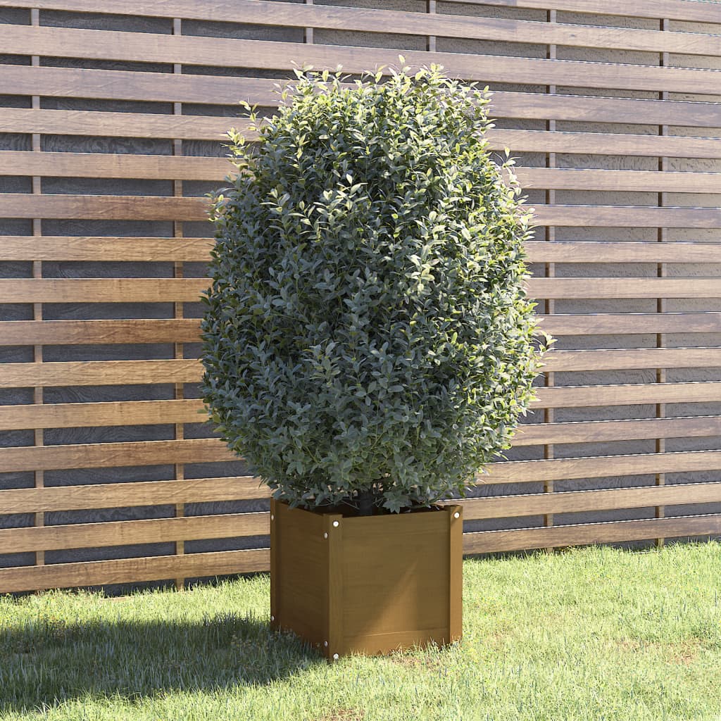 vidaXL plantekasse 40x40x40 cm massivt fyrretræ gyldenbrun vidaXL plantekasse 40x40x40 cm massivt fyrretræ gyldenbrun