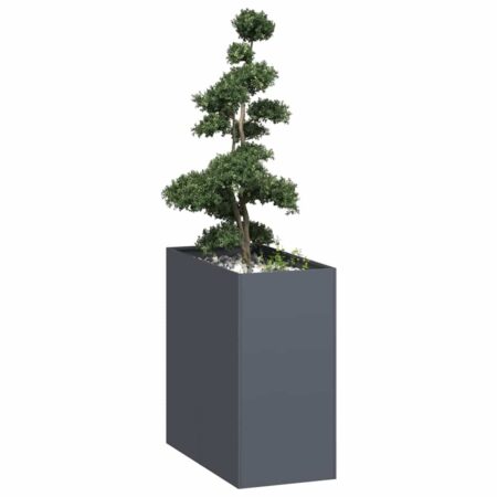 vidaXL plantekasse 40x80x80 cm stål antracitgrå
