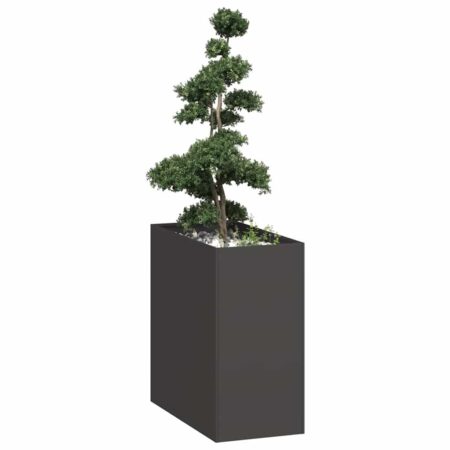 vidaXL plantekasse 40x80x80 cm stål sort