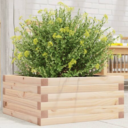 vidaXL plantekasse 50x50x23 cm massivt fyrretræ