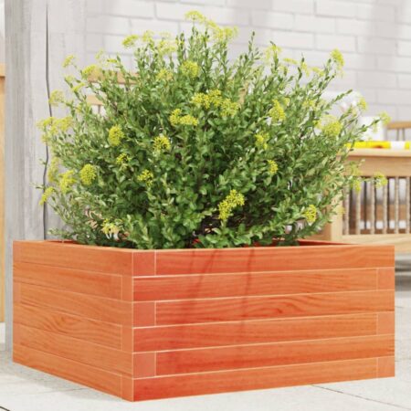 vidaXL plantekasse 50x50x23 cm massivt fyrretræ gyldenbrun
