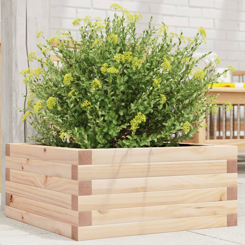vidaXL plantekasse 50x50x23 cm massivt fyrretræ vidaXL plantekasse 50x50x23 cm massivt fyrretræ