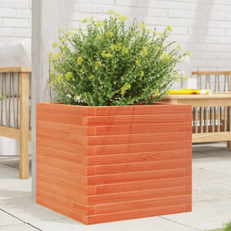 vidaXL plantekasse 50x50x45,5 cm massivt fyrretræ gyldenbrun