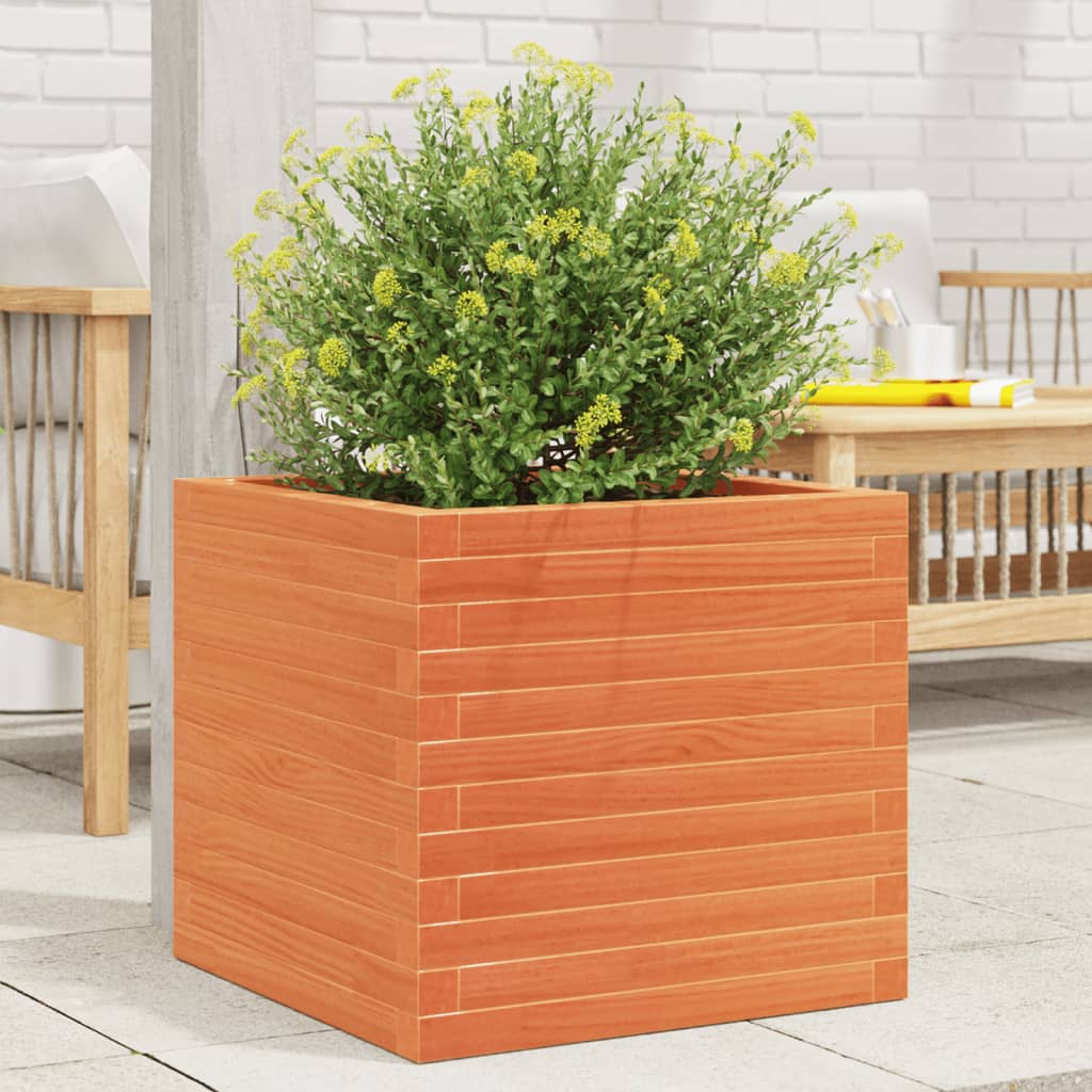 vidaXL plantekasse 50x50x46 cm massivt fyrretræ gyldenbrun vidaXL plantekasse 50x50x46 cm massivt fyrretræ gyldenbrun