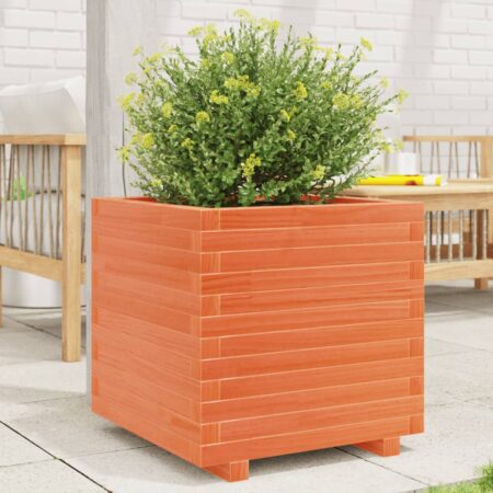 vidaXL plantekasse 50x50x49,5 cm massivt fyrretræ gyldenbrun