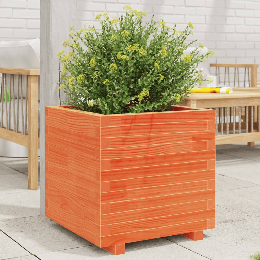 vidaXL plantekasse 50x50x49,5 cm massivt fyrretræ gyldenbrun vidaXL plantekasse 50x50x49,5 cm massivt fyrretræ gyldenbrun