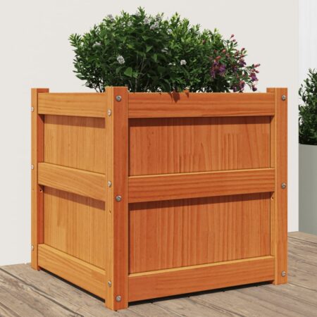 vidaXL plantekasse 50x50x50 cm massivt fyrretræ gyldenbrun